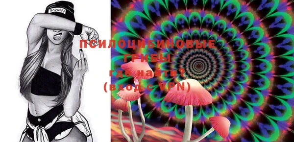 трава Переславль-Залесский